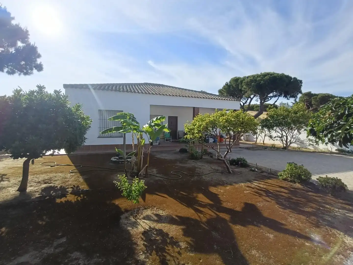 Vista exterior de Casa o xalet en venda en Chiclana de la Frontera amb Jardí privat