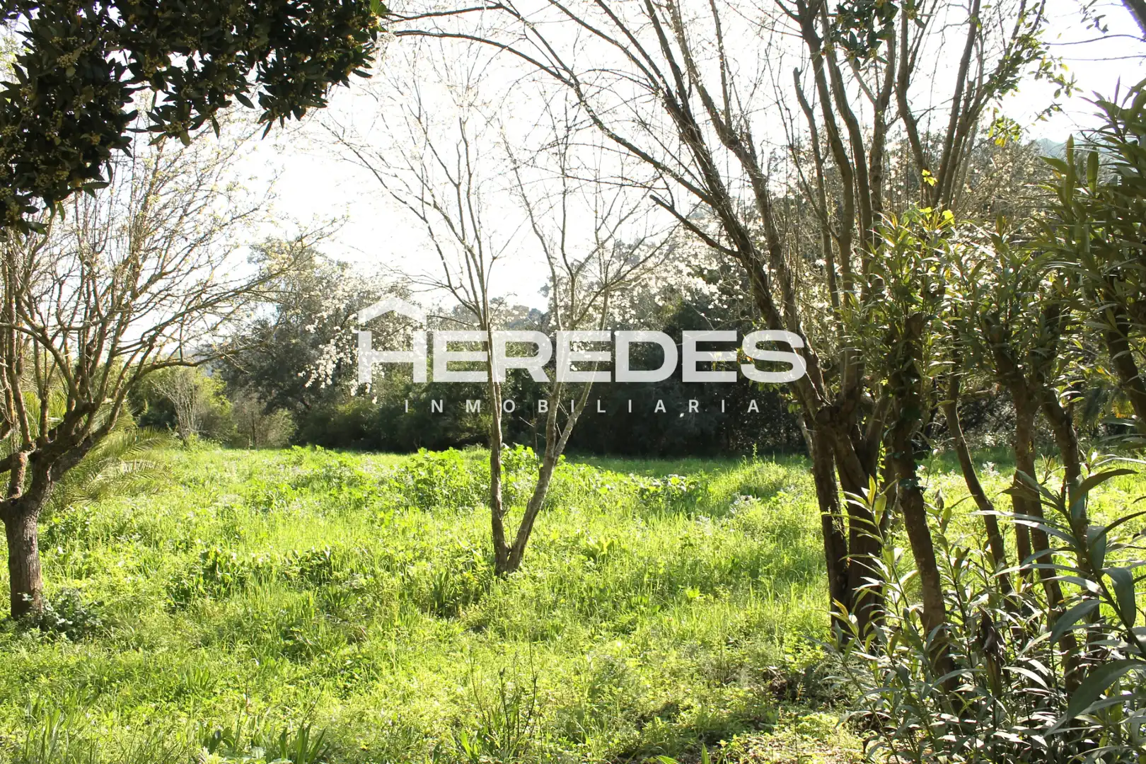 Casa con jardín en venta en Torrelles de Llobregat, imagen 9