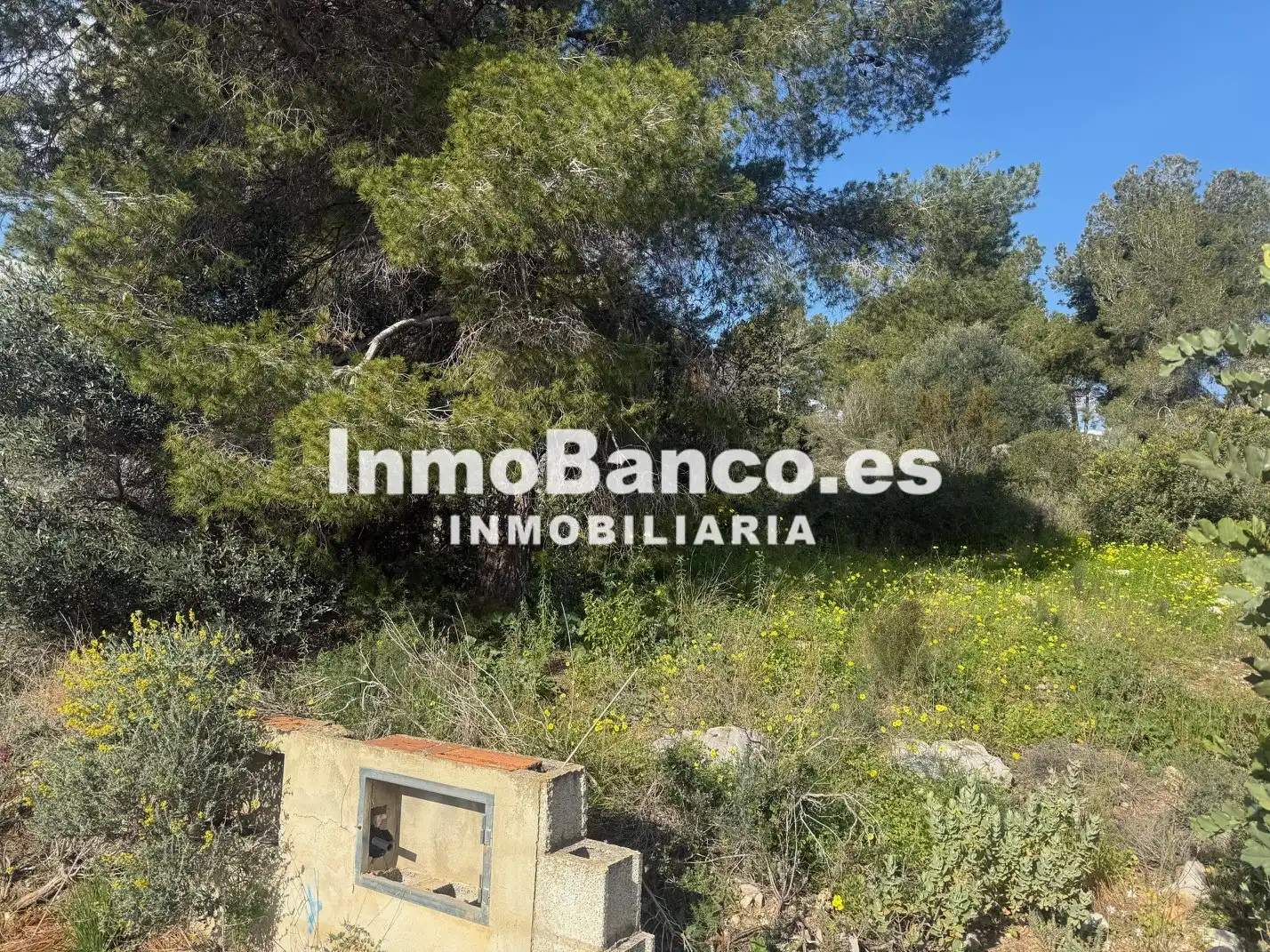Residential land for sale in Calle Felipe II 50, imagen 6