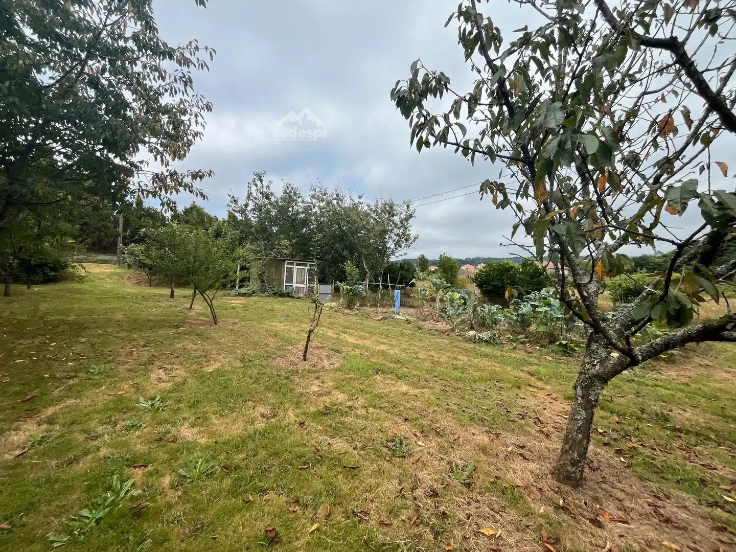 Rural land for sale in Covelo, imagen 13