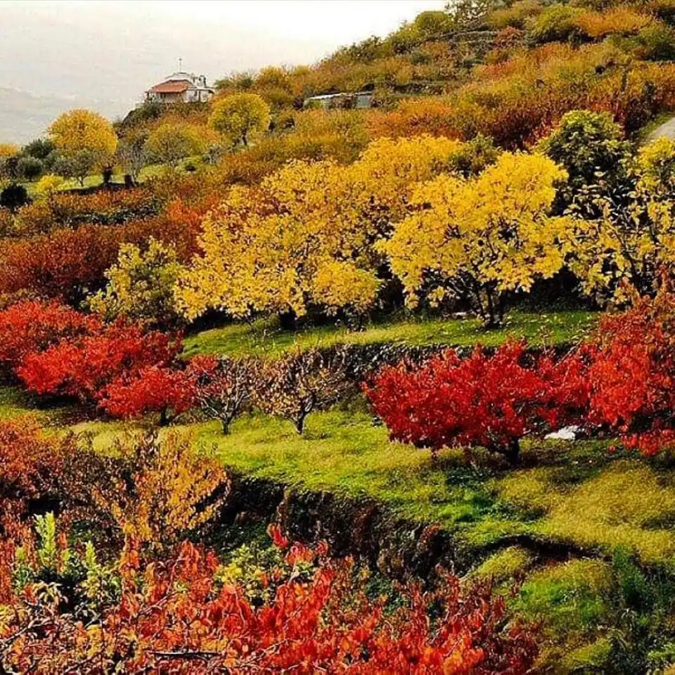 Jardí de Casa o xalet en venda en Navaconcejo amb Aire condicionat i Terrassa