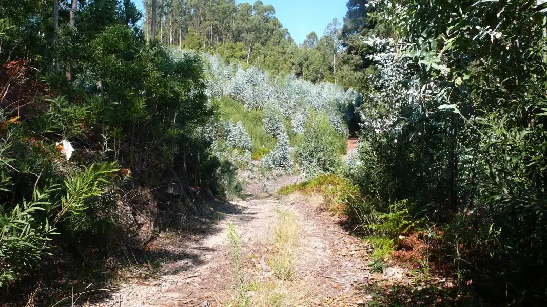 Terreni e lotti in vendita a Ramorta de Arriba, imagen 16
