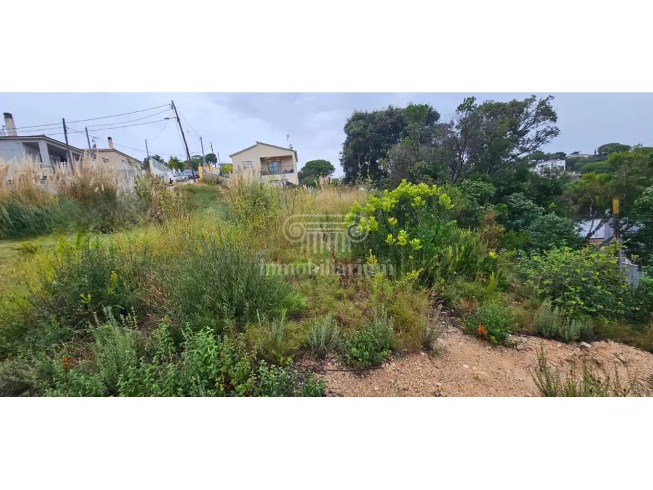 Rural land for sale in Violeta, imagen 2