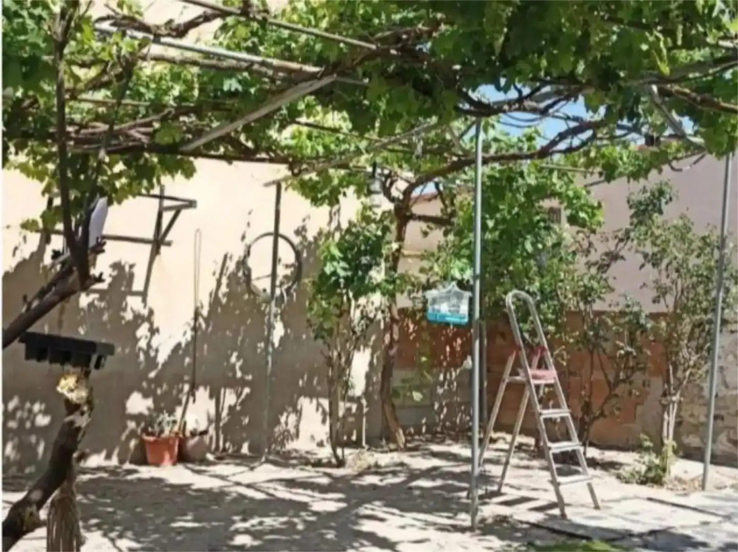Jardín de Casa o chalet en venta en Purchena