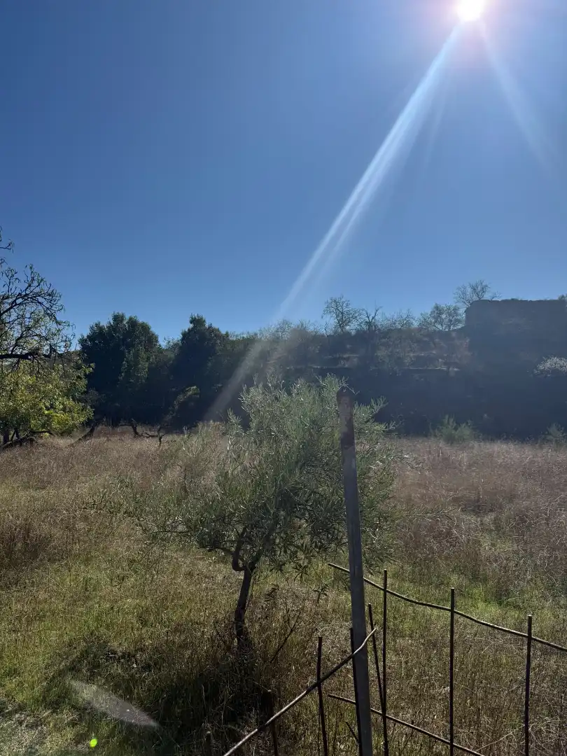 Casa rústica amb terrassa en venda a Abla, imagen 18