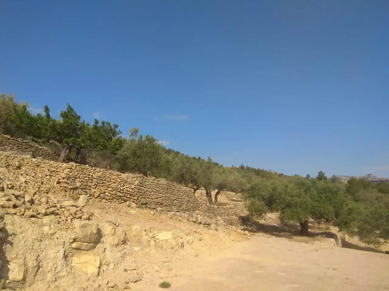 Terrain rustique à vendre à Comes, imagen 11