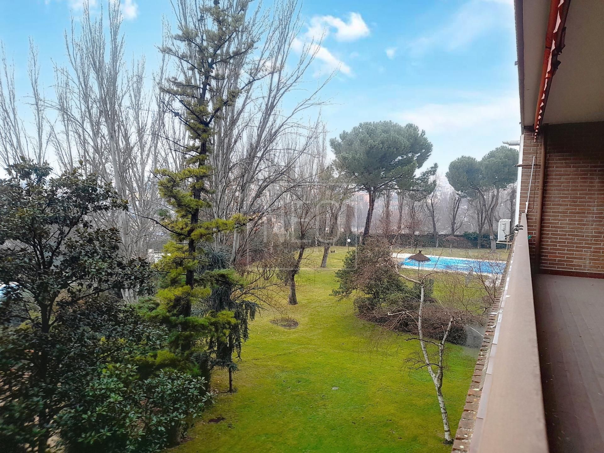 Piscina de Pis en venda en  Madrid Capital amb Aire condicionat, Calefacció i Jardí privat