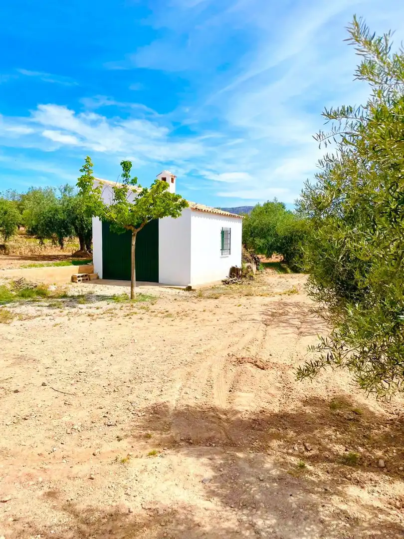 Terreny residencial en venda a Vélez-Rubio, imagen 2