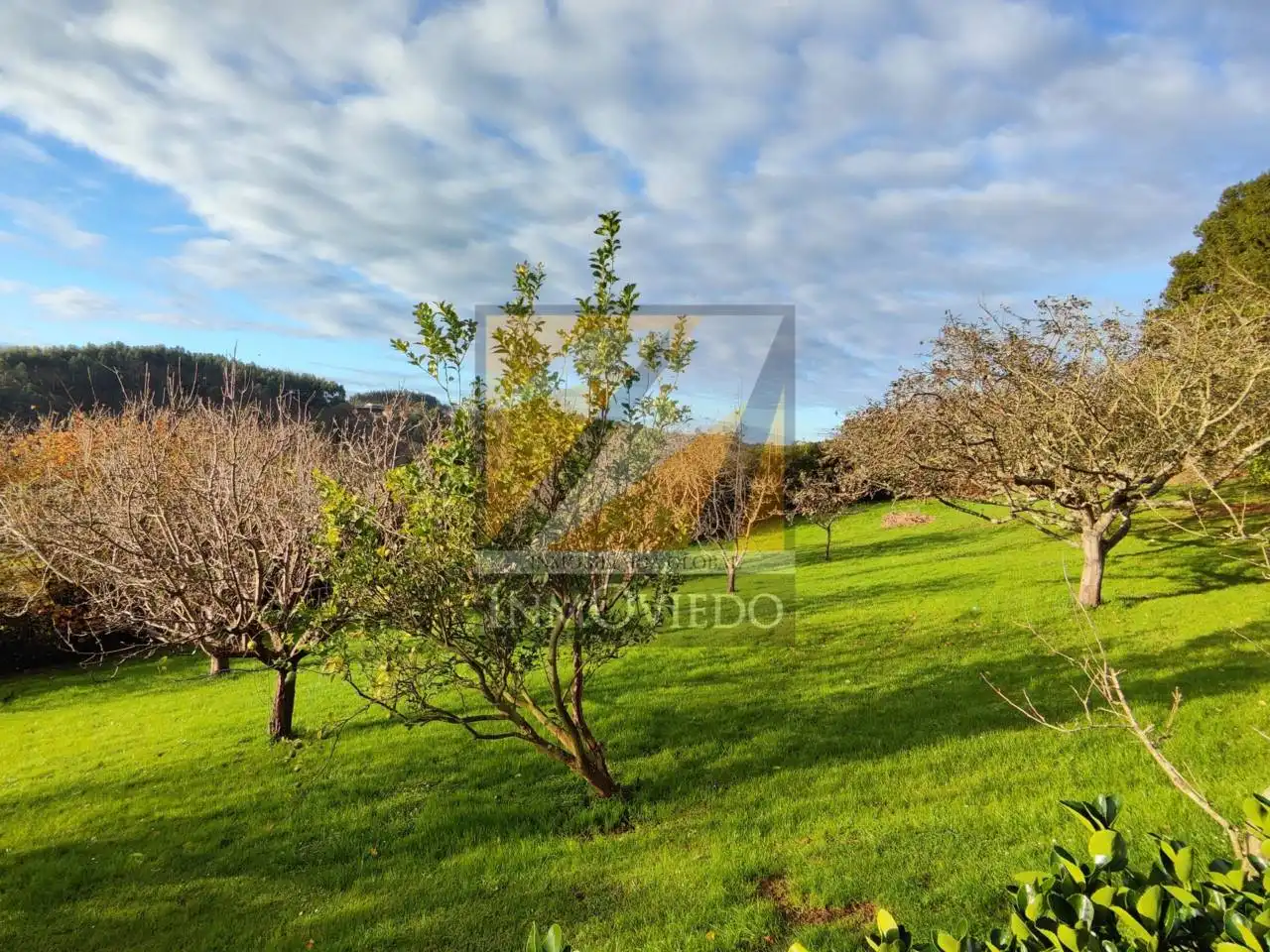 Houses for sale in Carreño  with Heating, Private garden and Parquet flooring
