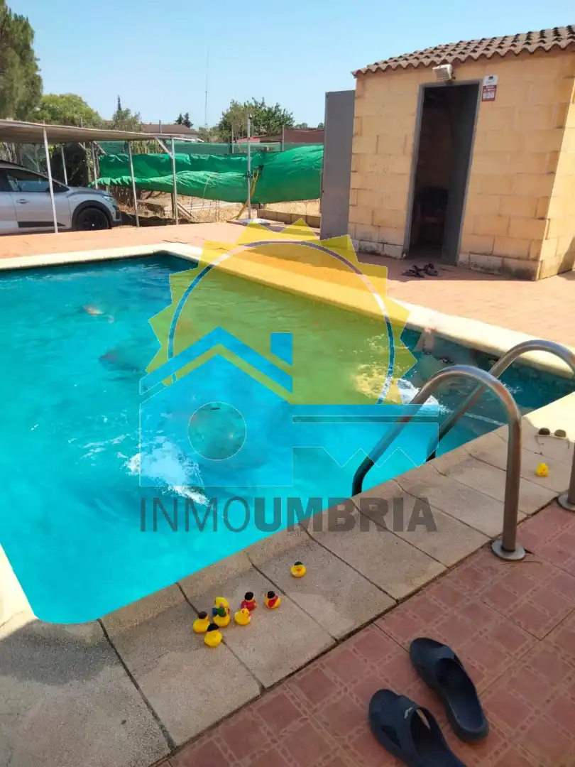 Piscina de Casa o chalet en venta en Gibraleón con Aire acondicionado, Jardín privado y Terraza