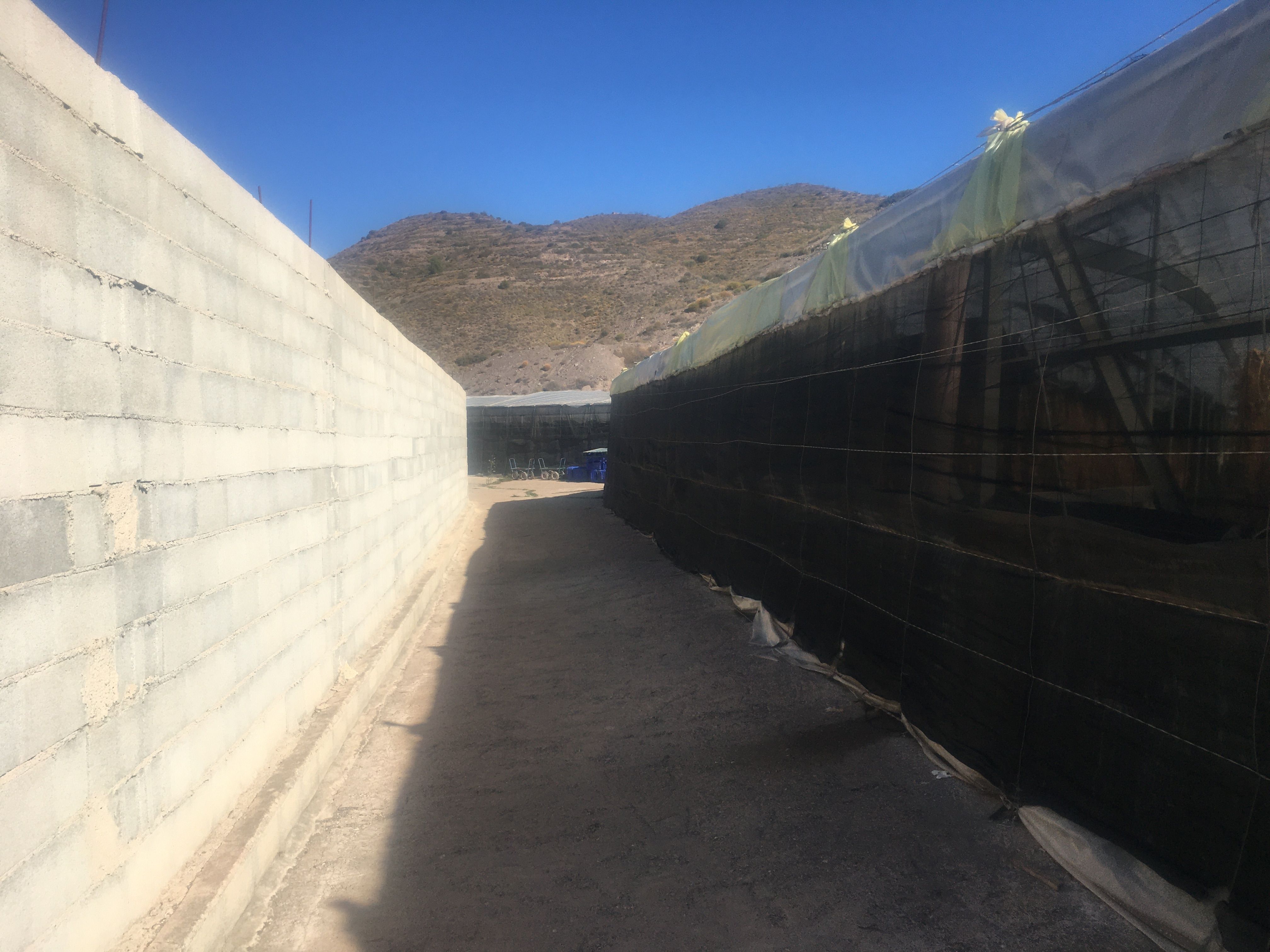 Exterior view of Land for sale in Albuñol