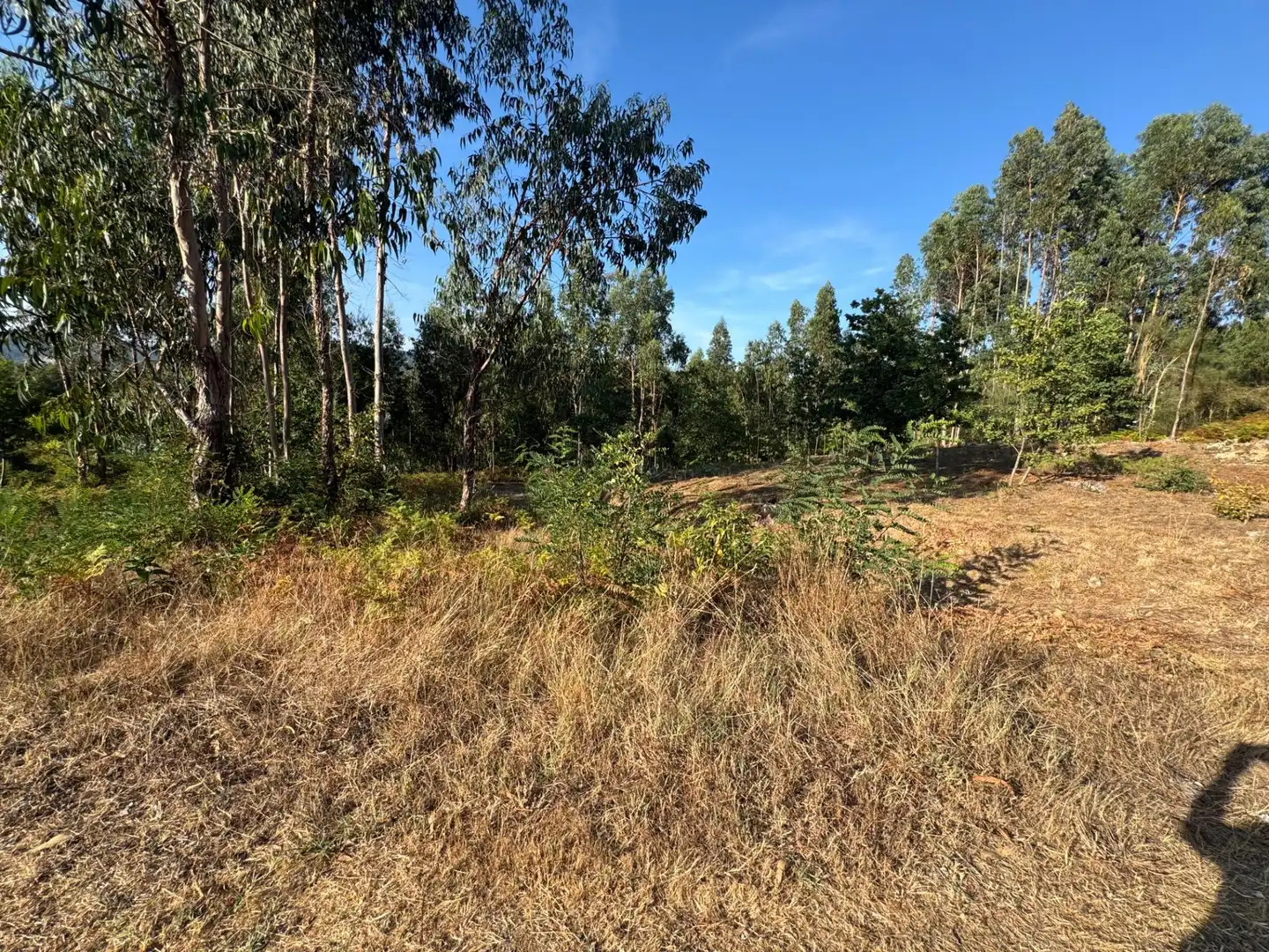 Lands and plots for sale in Lugar EIDO VELLO-BUDIÑO, imagen 3