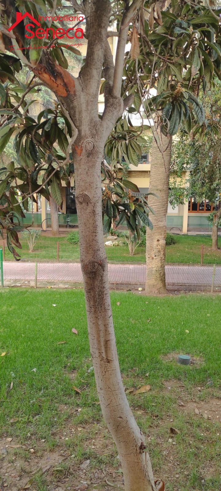 Exterior view of Flat for sale in  Córdoba Capital  with Air Conditioner