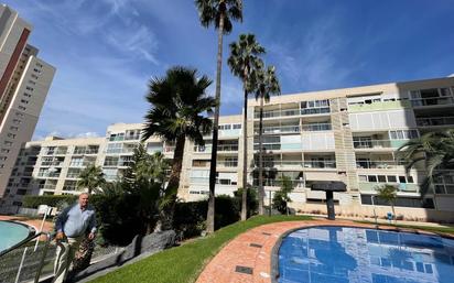 Vista exterior de Apartament en venda en Benidorm amb Terrassa