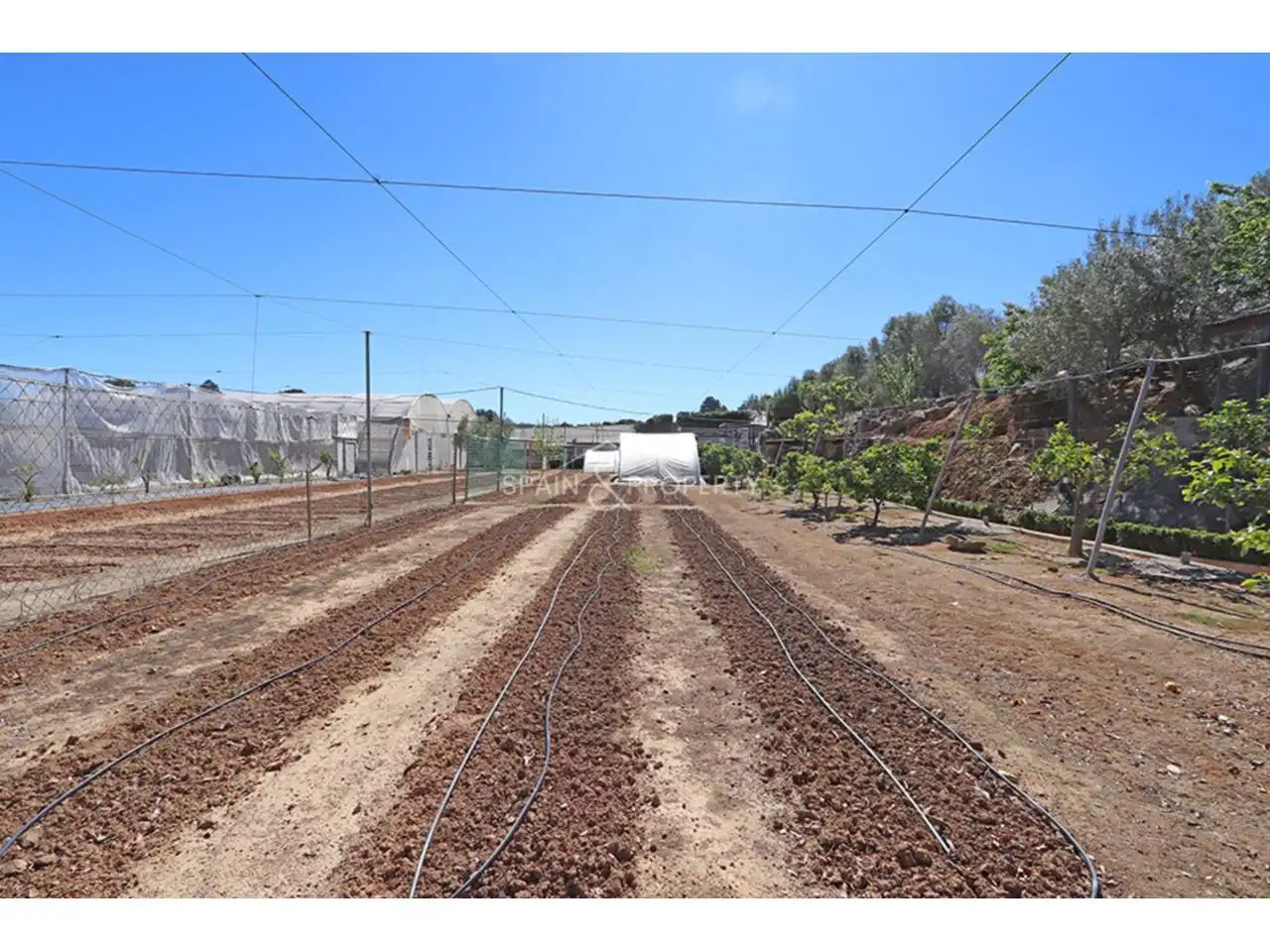 Jardín de Casa o chalet en venta en Torrent con Aire acondicionado, Calefacción y Jardín privado