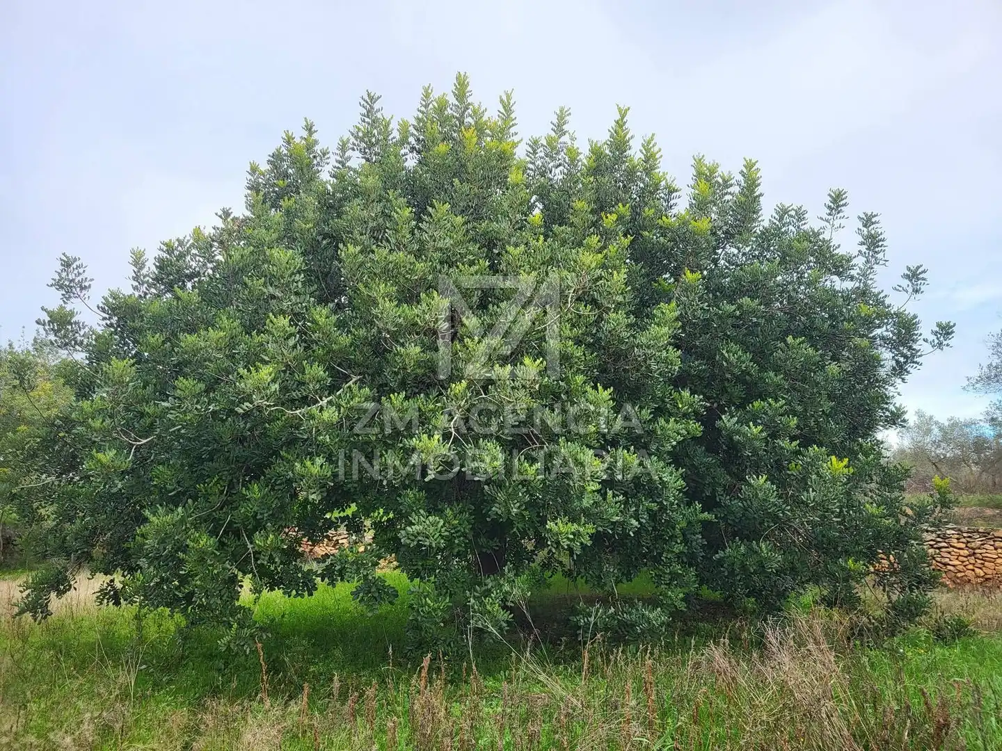 Terreno rustico in vendita a Cabanes, imagen 25