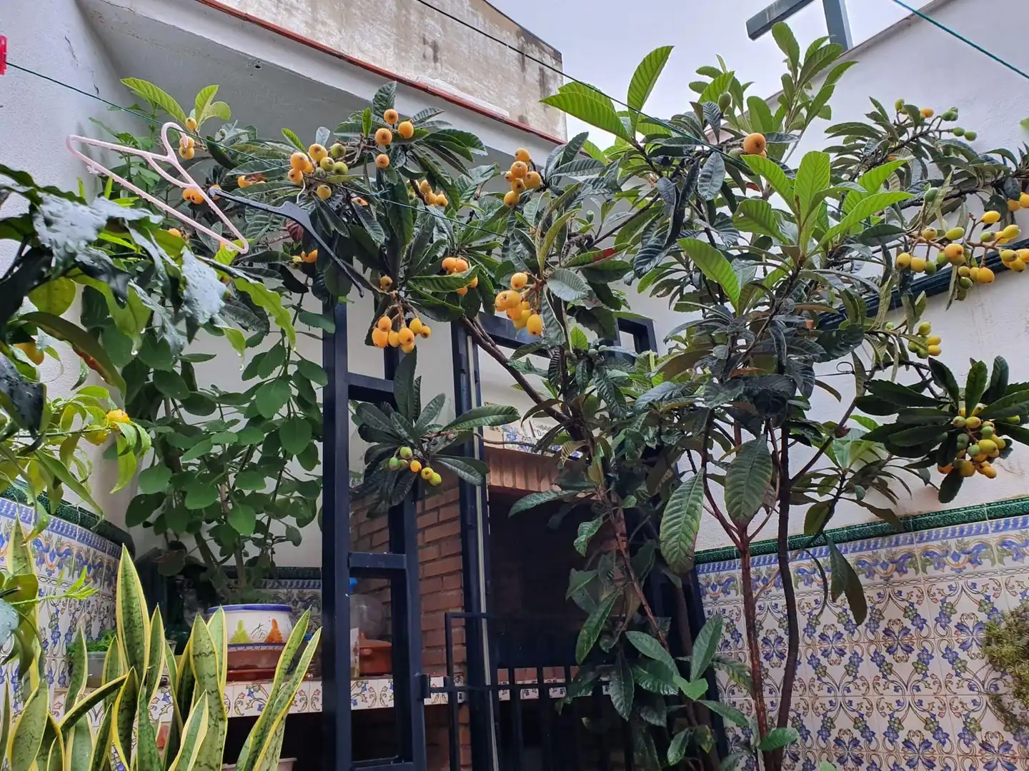 Jardín de Casa adosada en venta en Marbella con Aire acondicionado, Jardín privado y Terraza