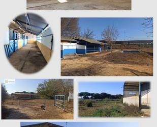 Vista exterior de Finca rústica en venda en Alcalá de Guadaira amb Traster i Piscina