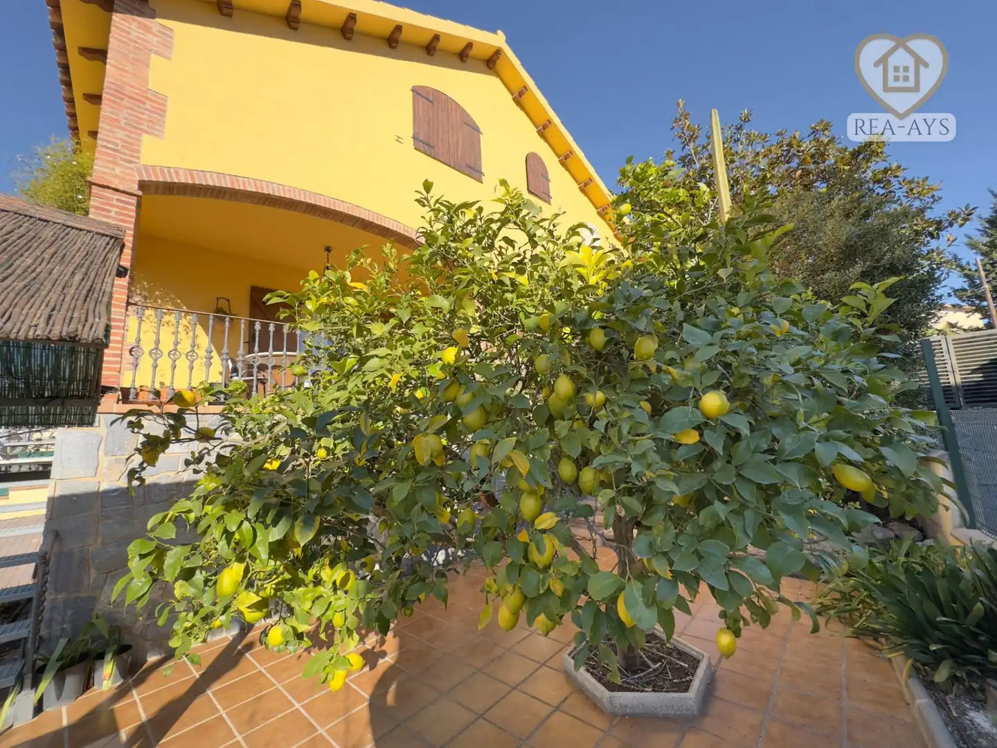 Jardín de Casa o chalet en venta en Albinyana con Jardín privado, Terraza y Amueblado