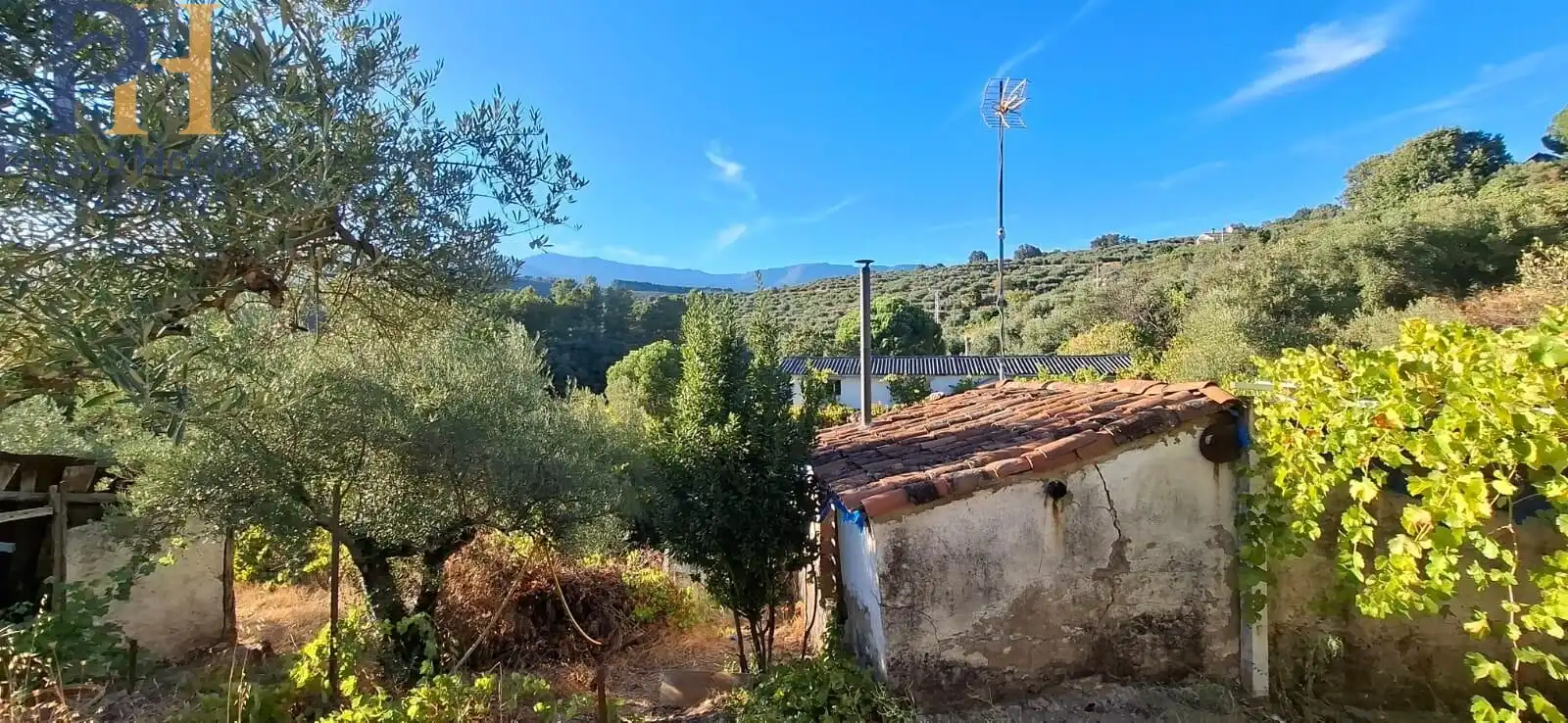 Maison à vendre à Arenas de San Pedro, imagen 13