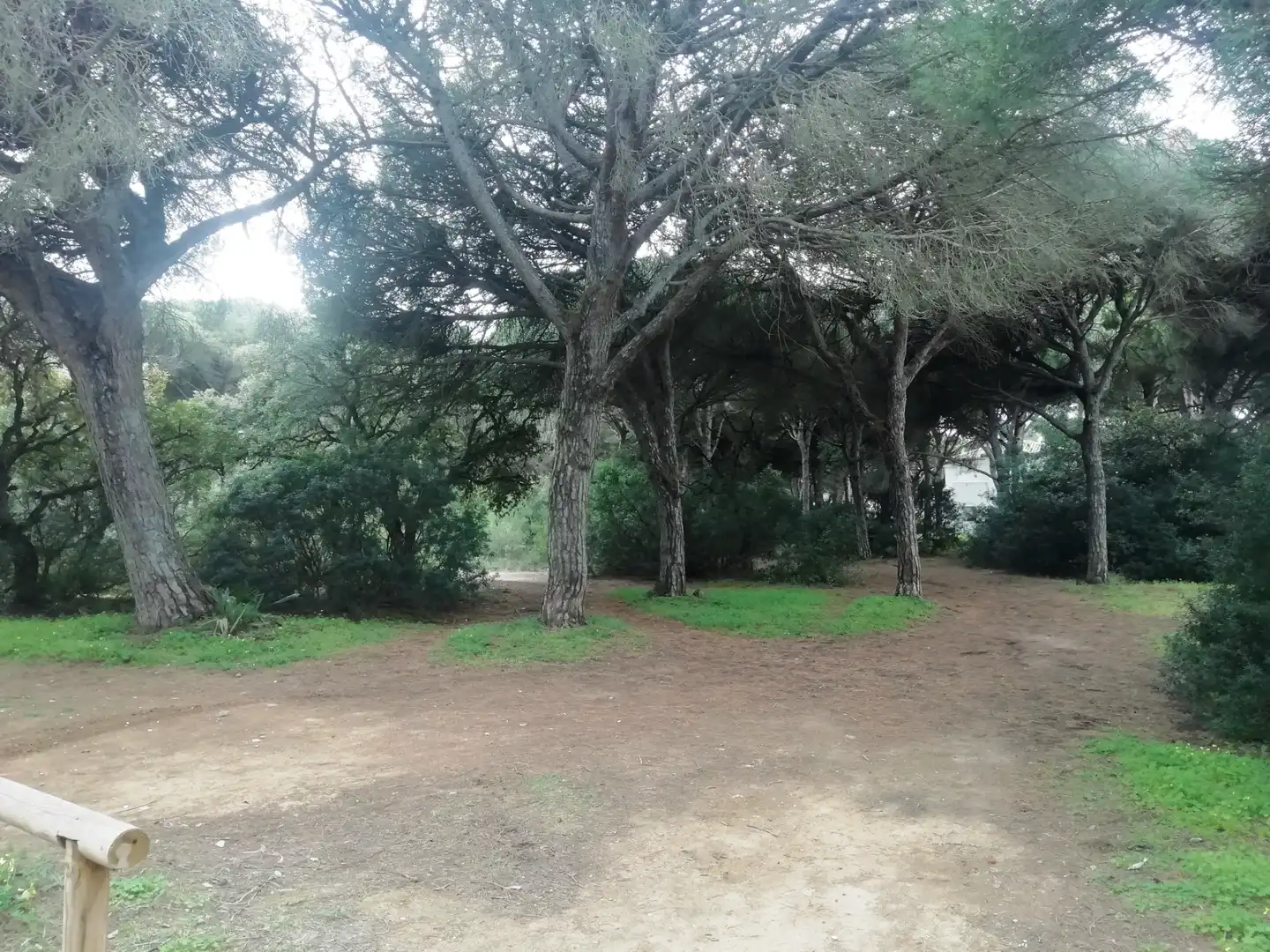 Houses for sale in Chiclana de la Frontera  with Private garden, Terrace and Furnished