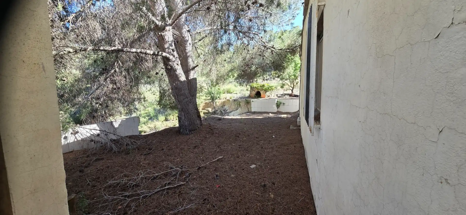 Casa o chalet en venta en El Pinós / Pinoso con Piscina