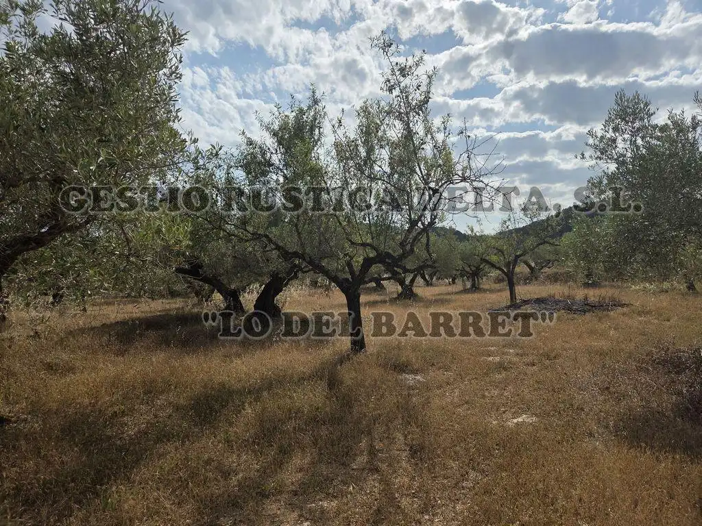 Finca rústica en venda en El Perelló