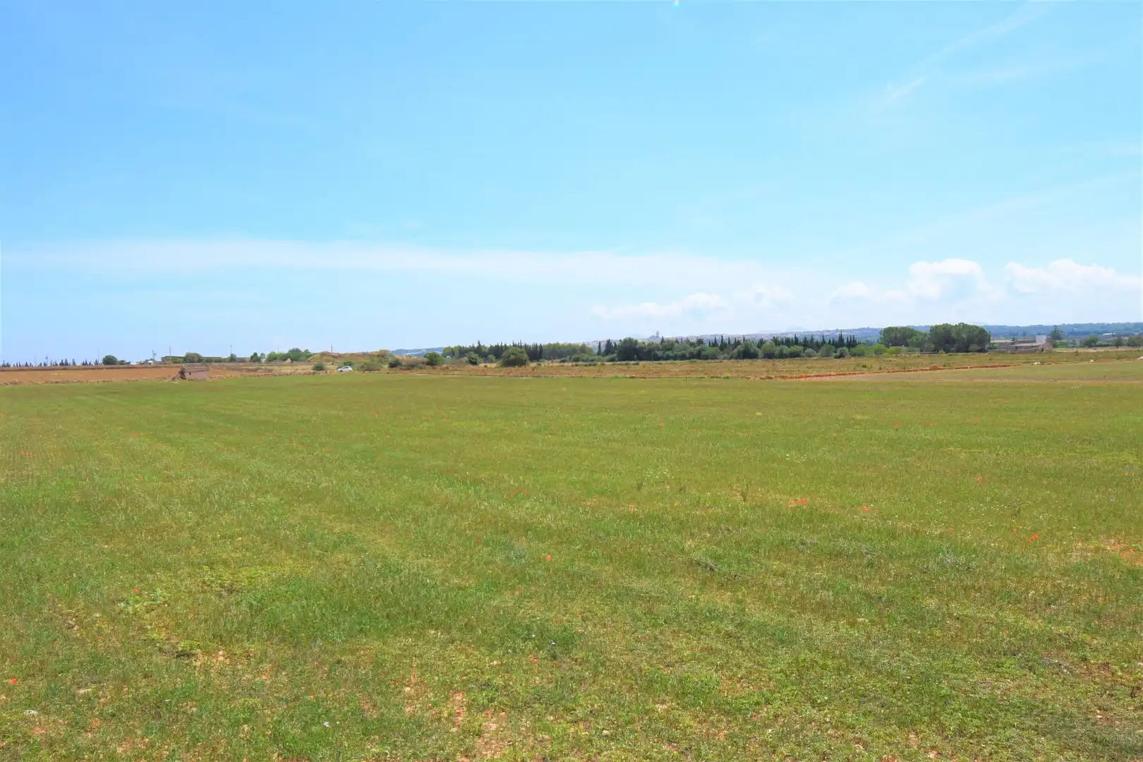 Finca rústica en venda a Llubí