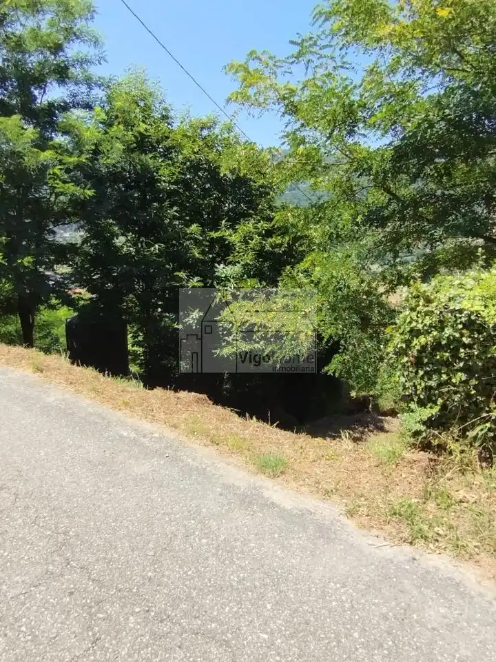 Terreny rústic en venda a LUGAR OS VALOS . SAN ROMAN DE SAXAMONDE, imagen 31