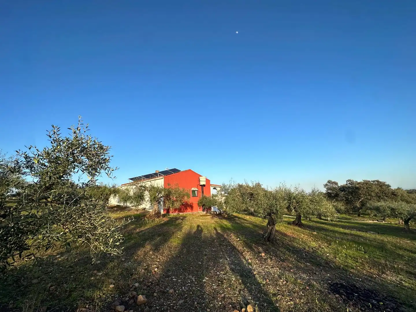 Casa o chalet en venta en Santa Amalia
