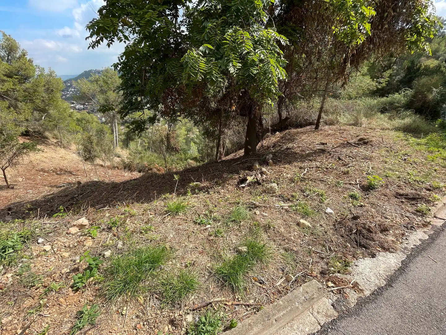 Terreny residencial en venda a Carrer Major 316, imagen 3