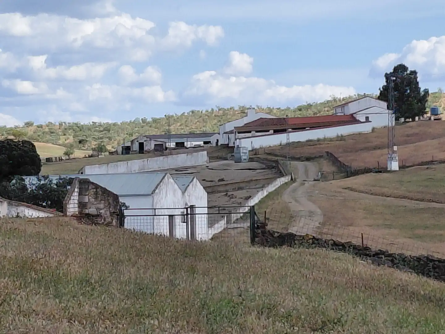 Vista exterior de Finca rústica en venda en Fuente de Cantos amb Jardí privat, Forn i Rentadora