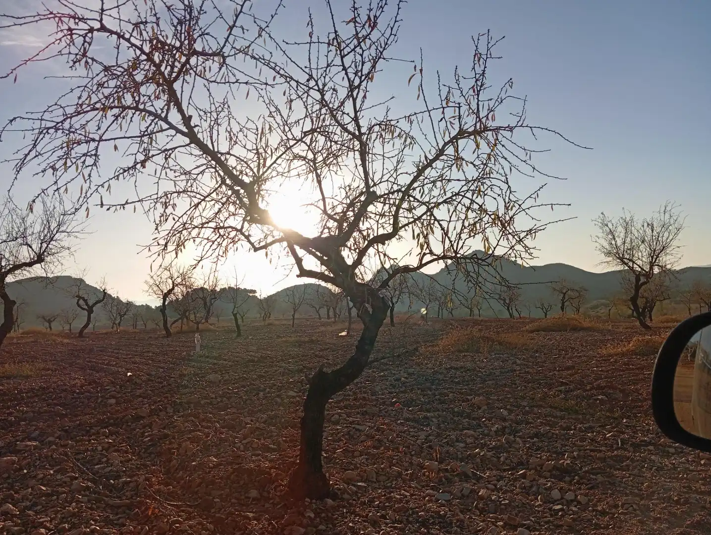 Houses for sale in Bejar