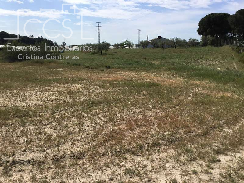 Finca rústica en venda en Almonte amb Terrassa i Moblat