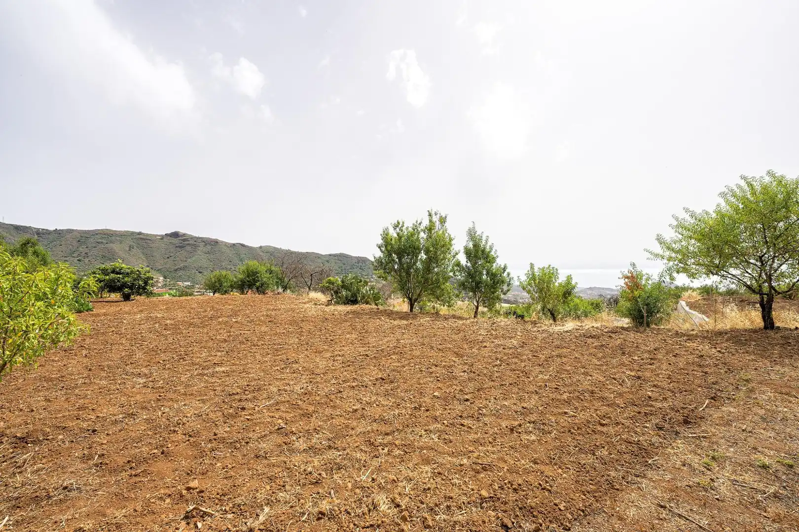 Casa o chalet en venta en Valsequillo de Gran Canaria con Jardín privado y Terraza