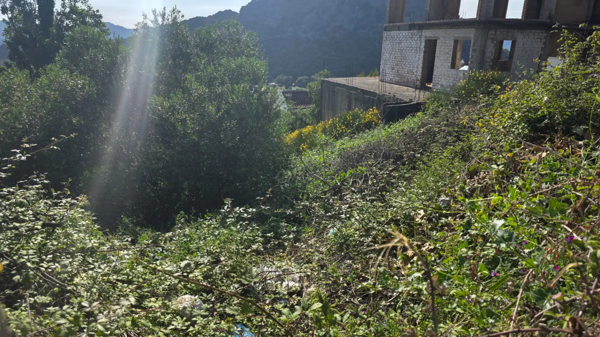 Terreni e lotti in vendita a Benaocaz, imagen 2