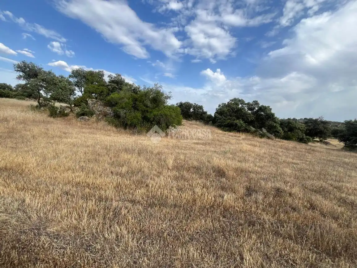 Terreno en venta en Santa Ana de Pusa