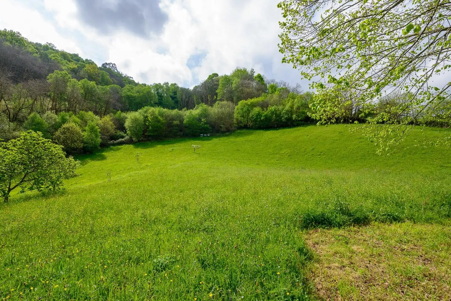 Land for sale in Mieres (Asturias)