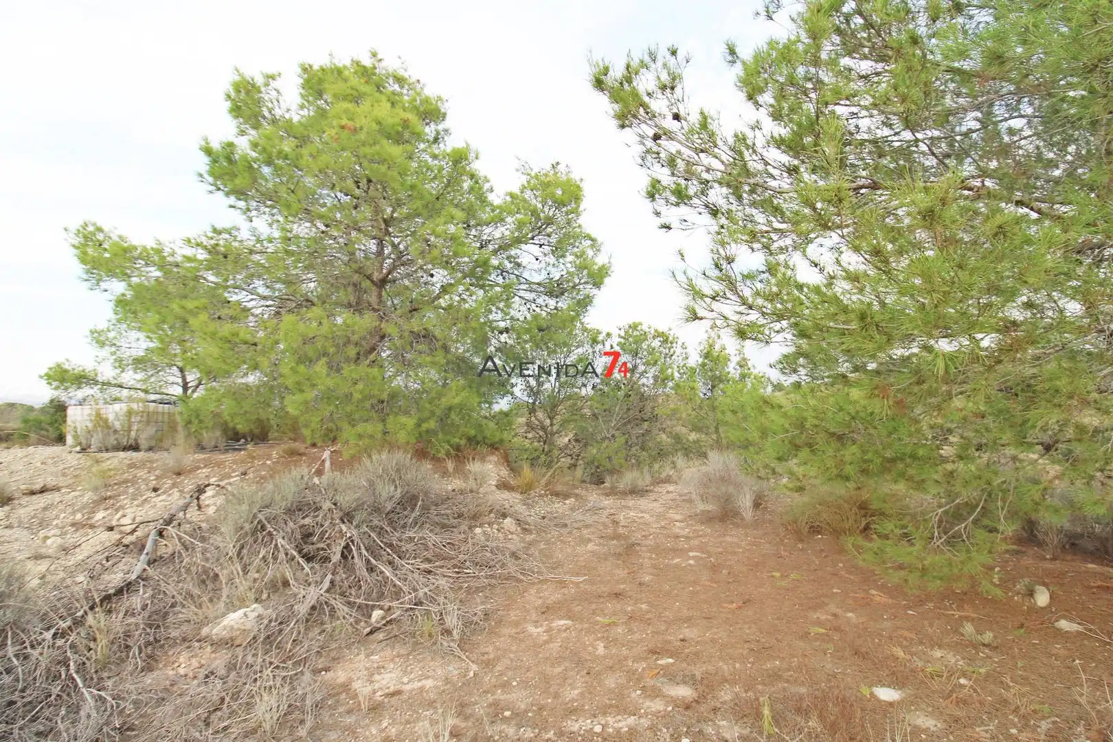 Terrains et parcelles à vendre à Pedanías Norte, imagen 4