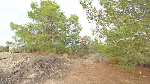 Photo 4 of Land for sale in Ortillo, Lorca