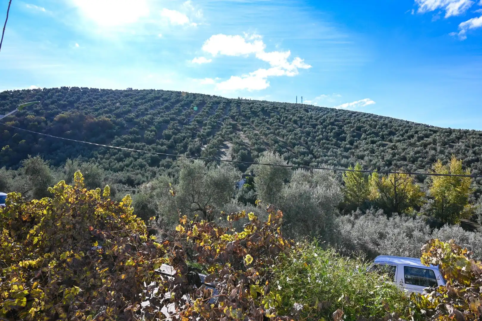 Finca rústica en venta en Villanueva de Algaidas