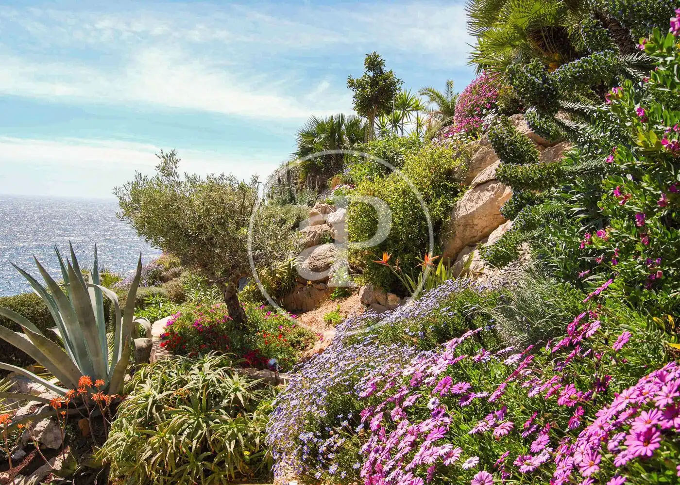 Jardín de Piso de alquiler en Andratx con Jardín privado, Terraza y Amueblado