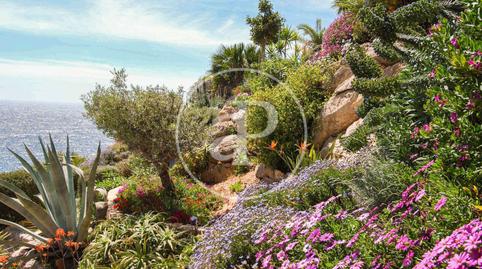 Photo 3 of Flat for rent in Port d'Andratx, Andratx