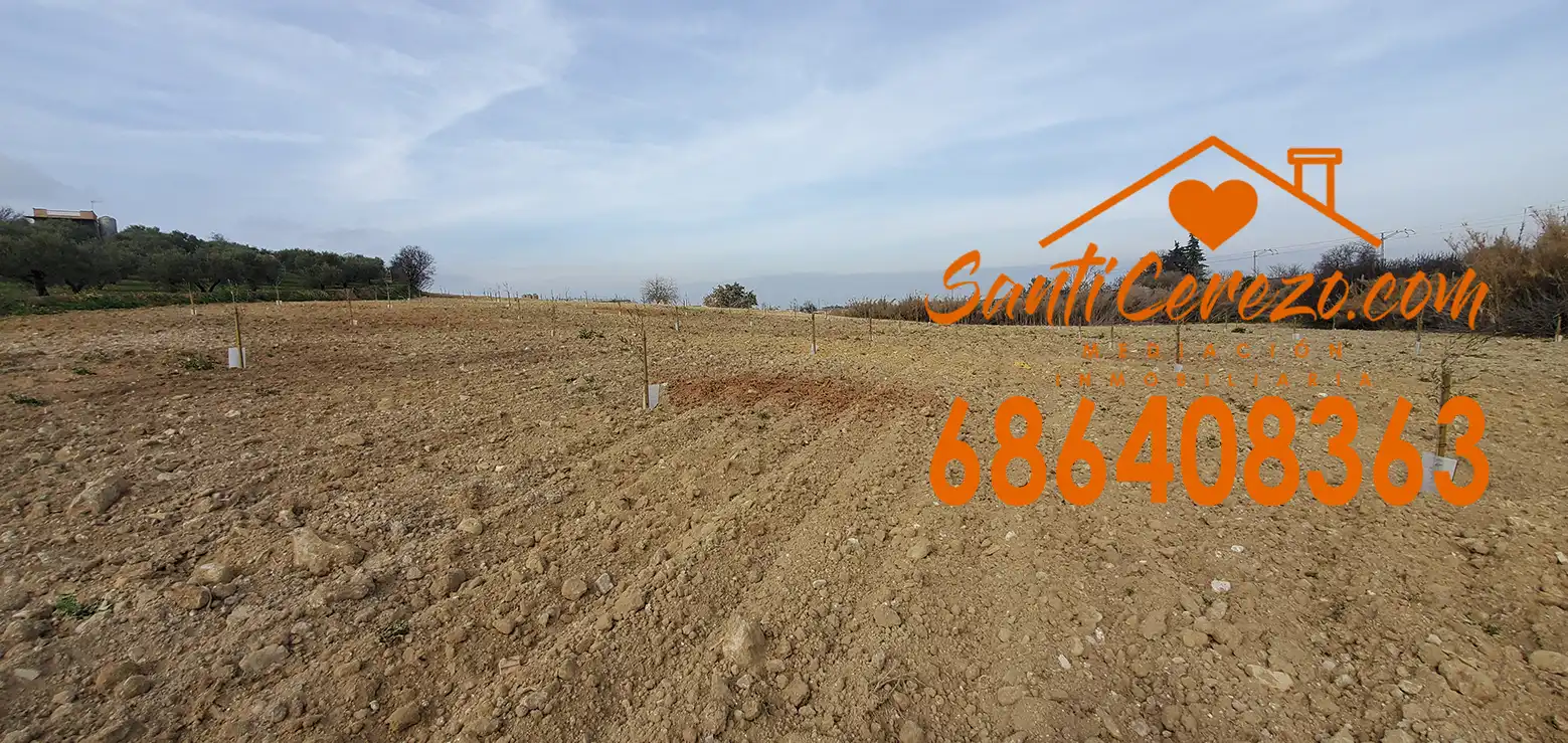 Grundstücke und Bauplätze zum Verkauf in Montilla, imagen 5