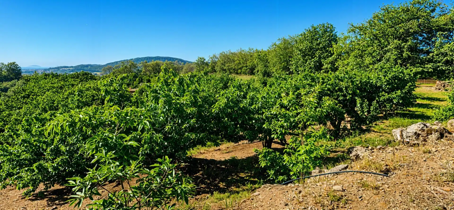 Terreno en venta en Garganta la Olla