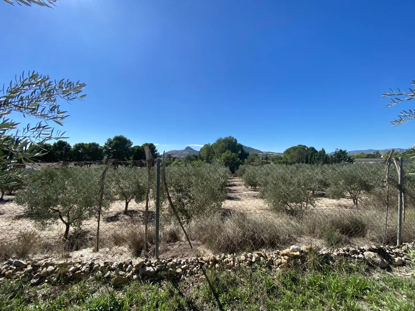 Country house with pool for sale in Sax, imagen 13