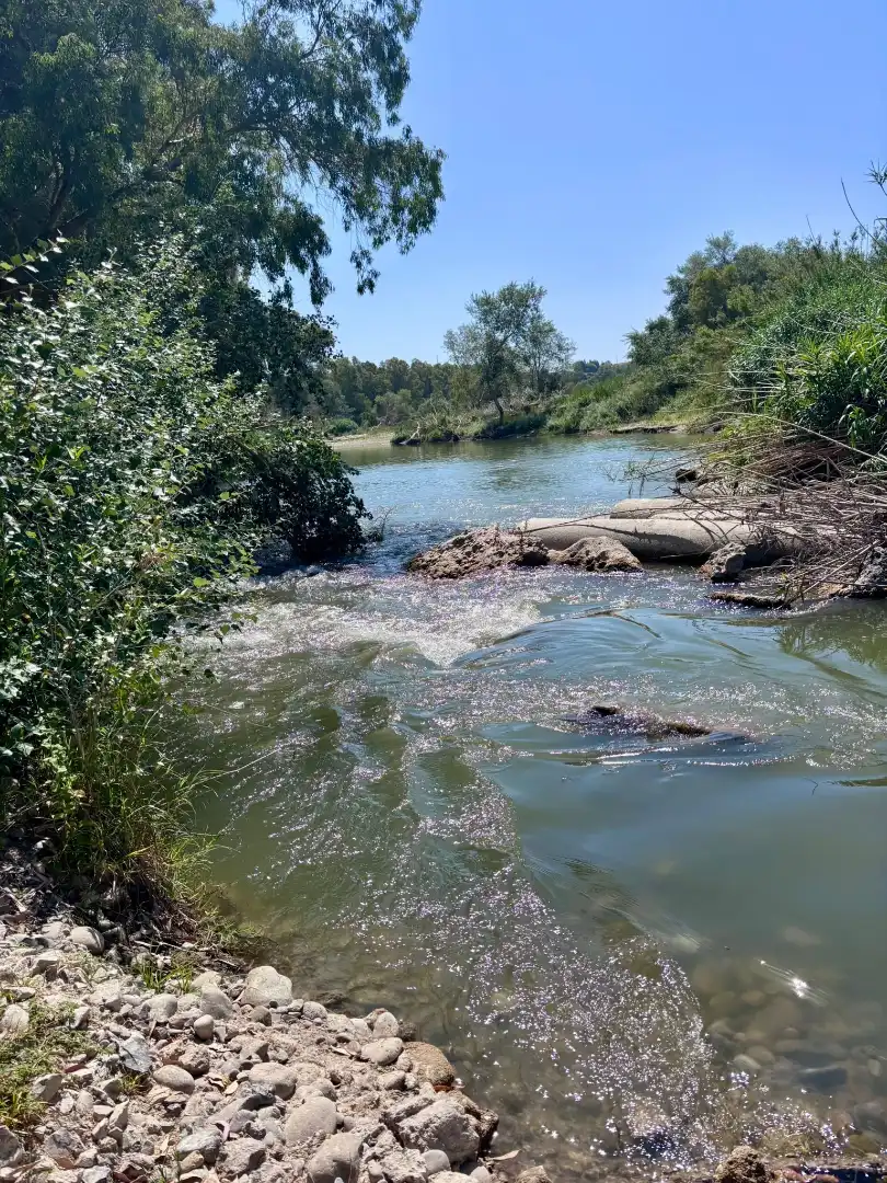 Außenansicht von Grundstücke zum Verkauf in Arcos de la Frontera