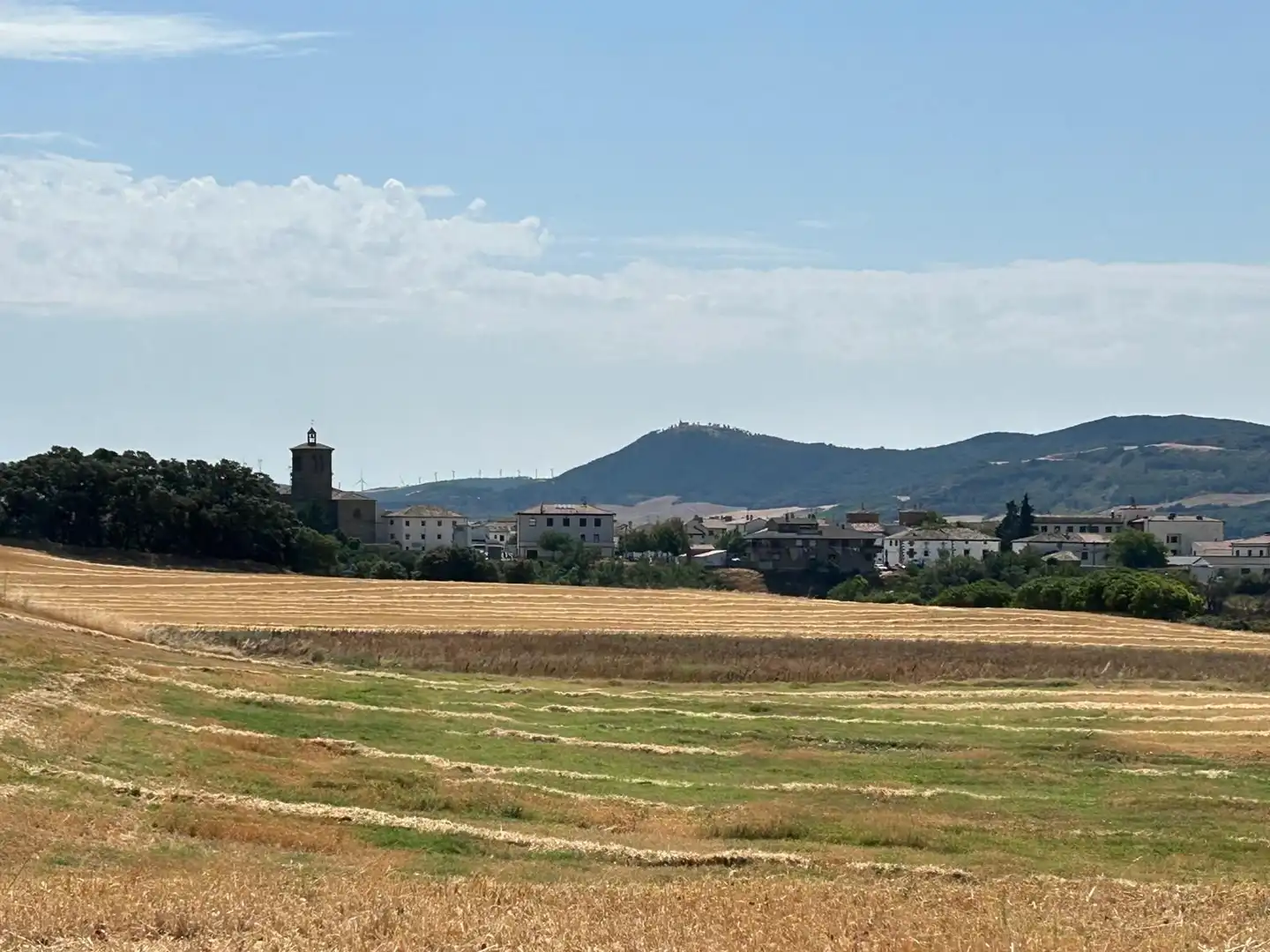 Terreny rústic en venda a 123 poligono 3