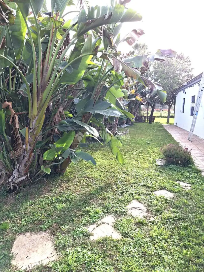 Finca rústica en venda en Coria del Río