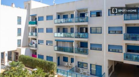 Foto 4 de Piso para compartir en El Bacarot, Alicante / Alacant